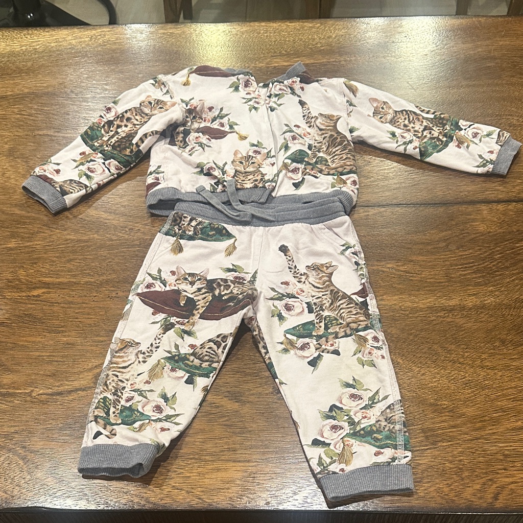 Dolce & Gabbana Kids 3-Piece Cat & Floral Set - Light Pink, Gray, Green, Brown